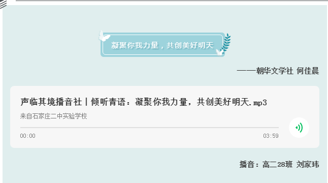 图片13.png