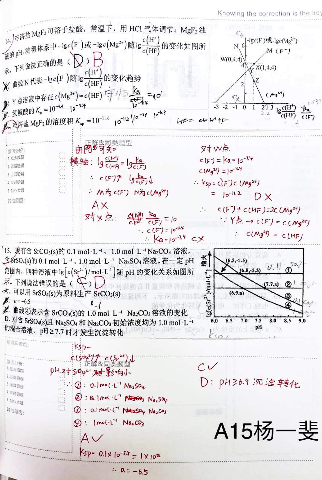 A15 1.jpg
