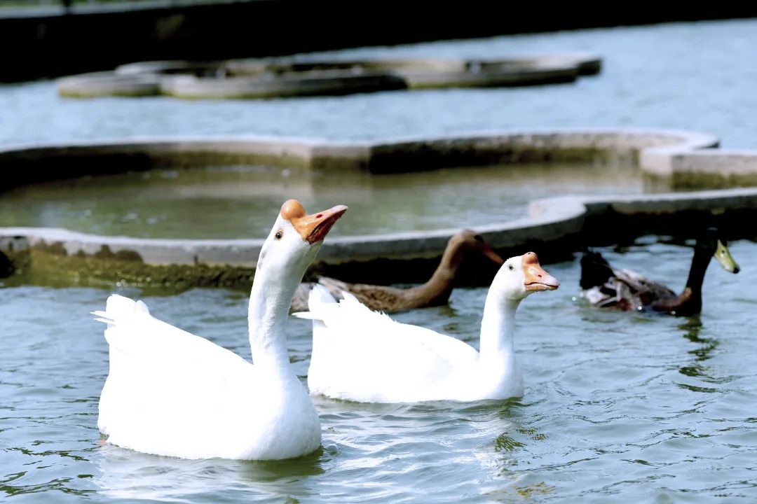 image013.jpg