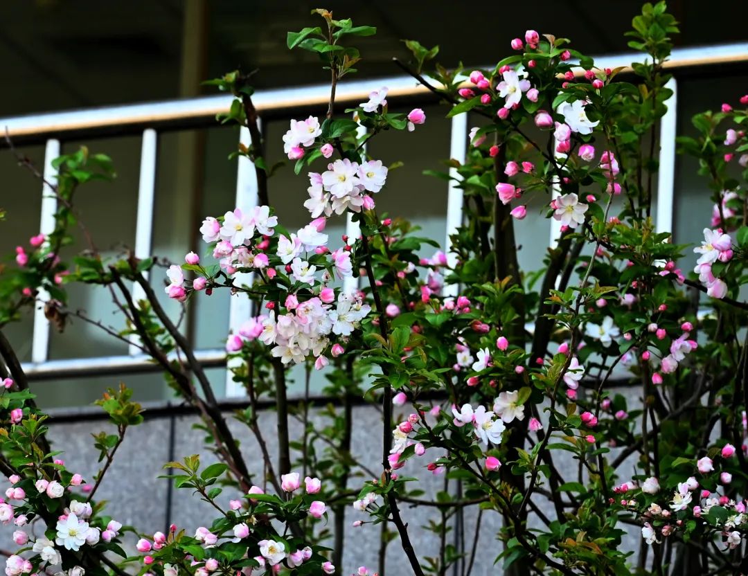 image012.jpg