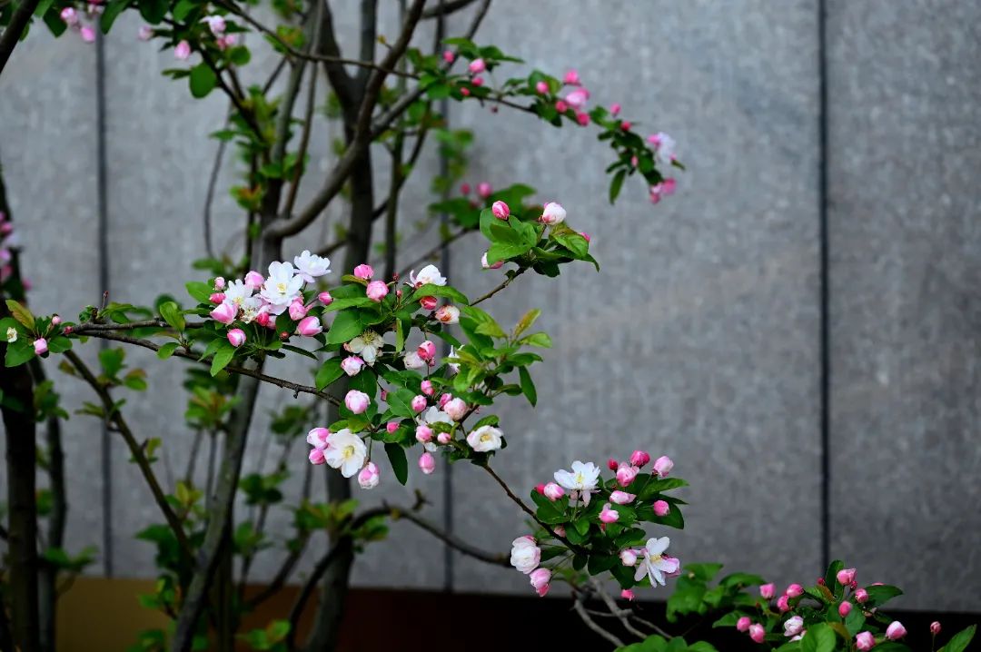 image016.jpg