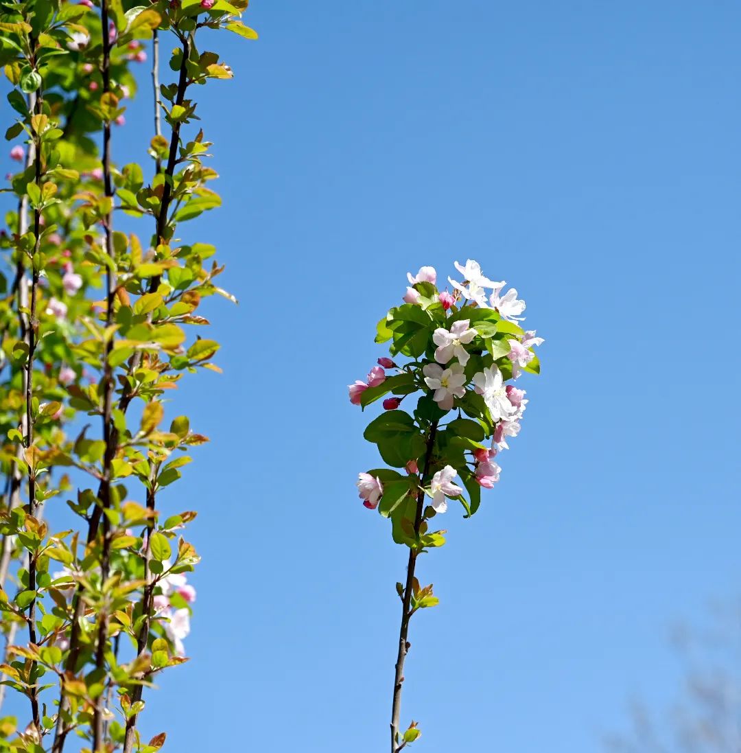 image022.jpg