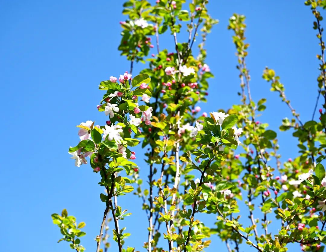 image021.jpg